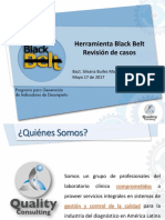 07-Herramienta-Black-Belt - PDF 4 0