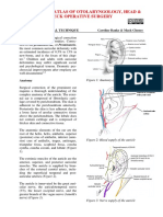 Otoplasty Surgical Technique