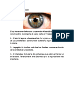 Partes Del Ojo Humano