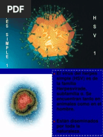 Herpes Simple Virus 1: Resumen