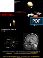 Clase Anatomia Funcional Basica