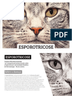 Esporotricose