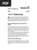 05 SCTP For Beginners SCTP Multihoming