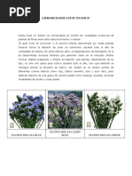 LIMONIUM SINUATUM (Autoguardado)