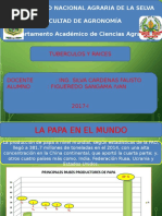 Presentación2.pptx TUBERCULOS