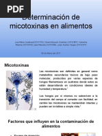 Determinación de Micotoxinas en Alimentos