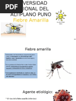 Fiebre Amarilla