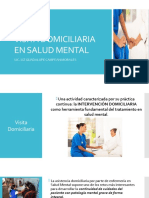 Visita Domiciliaria en Salud Mental