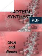 Protein Synthesis2