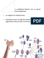 Hematofisiologia Clase 3 Leucocitos Aemh