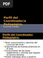 Perfil Del Coordinador Funciones y Tareas.