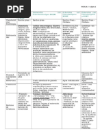 Cuadro Comparativo de Diferentes Escherichia Coli