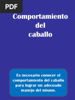 Comportamiento Equino BA 2017 Completo