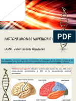 Motoneuronas Superior e Inferior (2016 - 09 - 03 09 - 24 - 37 Utc)