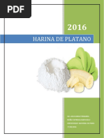 Harina de Platano Agronegocios