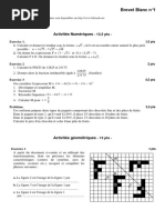 Brevet Blanc N°1