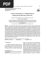 Ototoxic Destruction by Co-Administration of Kanamycin and Ethacrynic Acid in Rats