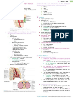 Superior Mediastinum