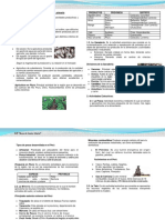 Actividades Económicas Del Sector Primario