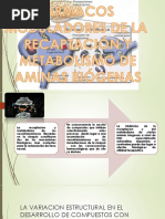 Farmacos Moduladores de La Recaptacion y Metabolismo de Aminas Biogenas