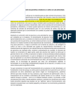 Producción de Penicilina A Través de Un Cultivo en Lote Alimentado.