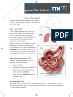 TTN en PDF