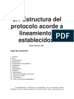 3.1 Estructura Del Protocolo Acorde A Lineamientos Establecidos