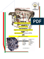Partes Internas de Un Motor de Combustión A Gasolina