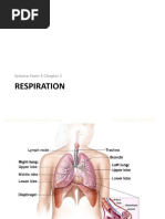 Science F3 Chap 1-Respiration