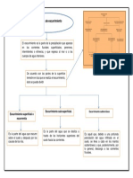 Tipos de Escurrimiento