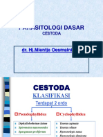 Cestoda