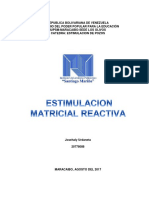 Estimulacion MATRICIAL REACTIVA PDF