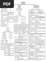 Mapa Conceptual - Acentuación