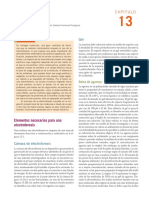 Electroforesis PDF