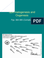 Spermatogenesis and Oogenesis