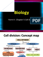 Veron Cell Division