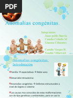 Anomalías Congénitas