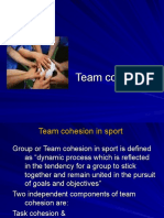 Team Cohesion