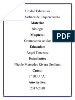 Informe Sobre Maqueta de Cromosoma Celuar