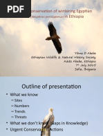 Status of The Egyptian Vulture in Ethiopia