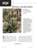 Plantas Medicinales