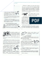 Cuentos para Hablar PDF