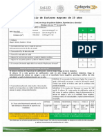 CUESTIONARIO FR 20 Años y Mas PDF