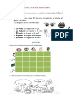 Los Organos de Los Sentidos PDF