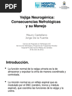 Vegiga Neurogenica Consecuencias Nefrologicas y Su Manejo PDF