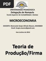 Teoria de Produção e Firma