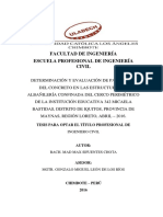 Determinación y Evaluación de Patologías Del Concreto en Las Estructuras de Albañilería Confinada Del Cerco Perimétrico de Una Institución Educativa PDF