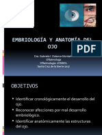 Embriología Del Ojo