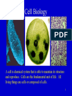 Cell Biology PDF