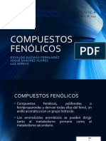 Compuestos-Fenólicos 1.0